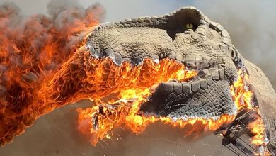 Photo of Удивительные виды и пейзажи